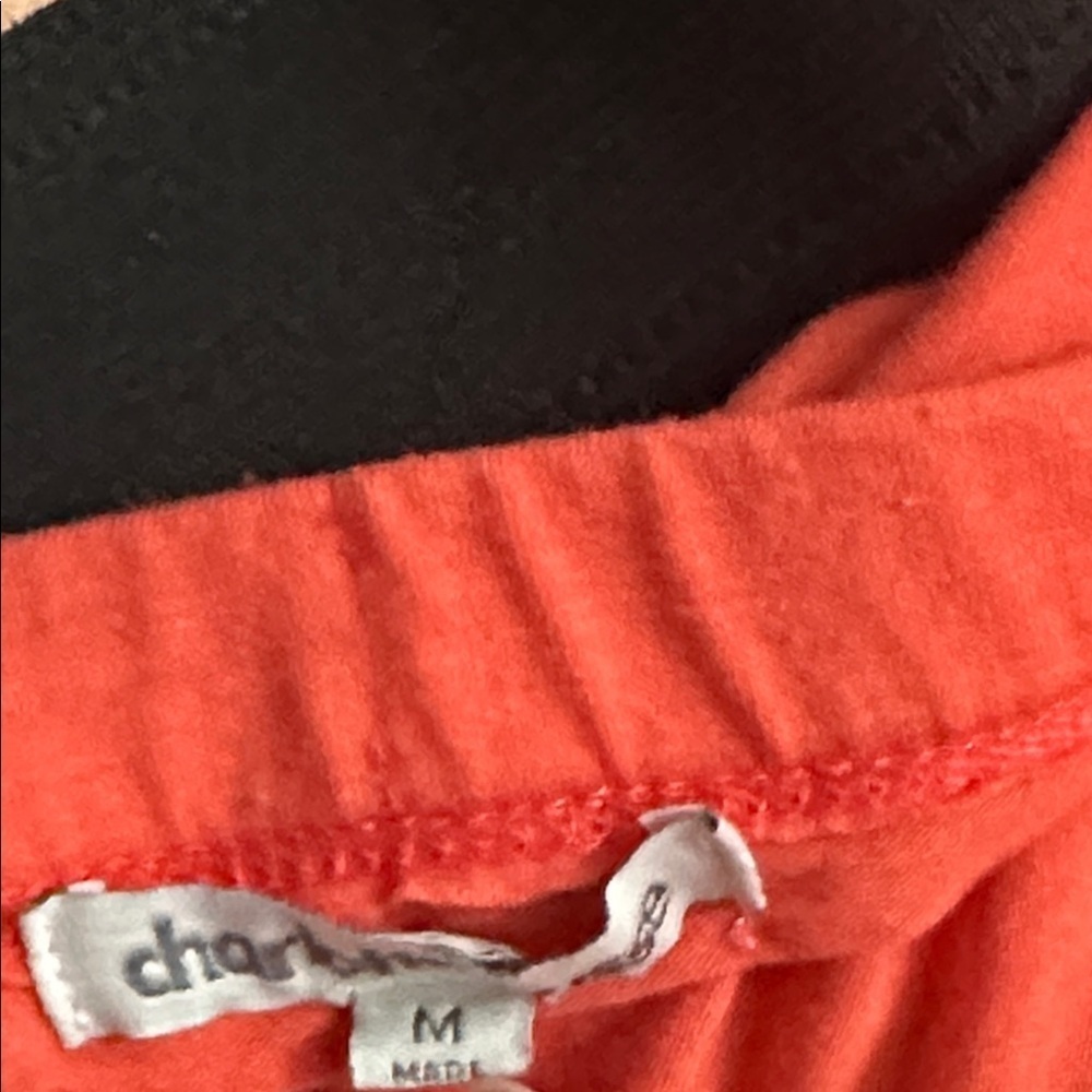 Charlotte Russe Dress - Picture 3 of 3